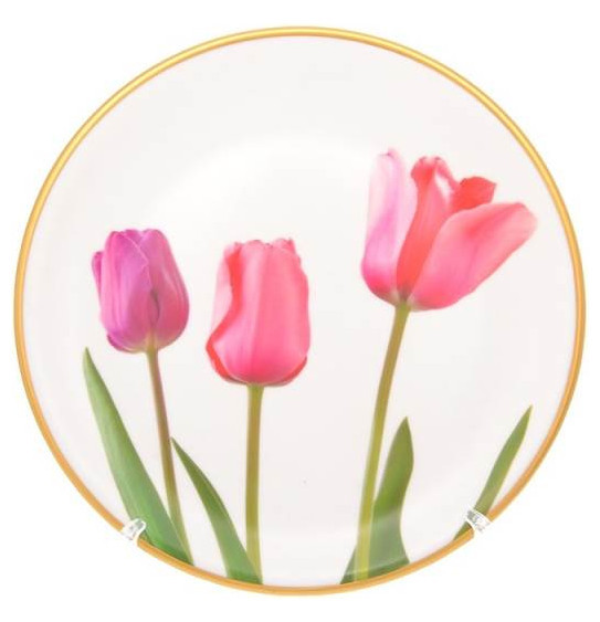 Набор тарелок 25 см 6 шт  Toygar &quot;Tulip&quot; / 257942