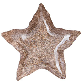 Блюдо 34 см Звезда  Bronco "Starfish sand" / 289174